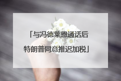 与冯德莱恩通话后 特朗普同意推迟加税