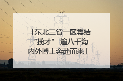 东北三省一区集结“揽才” 逾八千海内外博士奔赴而来
