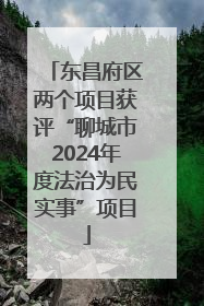 东昌府区两个项目获评“聊城市2024年度法治为民实事”项目