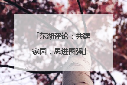 东湖评论：共建家园，思进图强