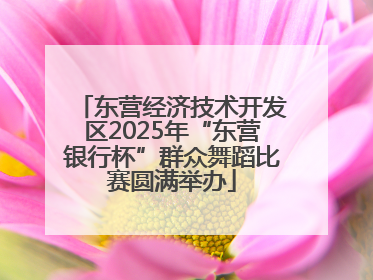 东营经济技术开发区2025年“东营银行杯”群众舞蹈比赛圆满举办