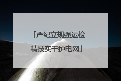 严纪立规强运检 精技实干护电网