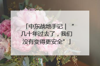 中东战地手记｜“几十年过去了，我们没有变得更安全”