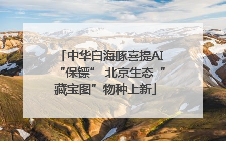 中华白海豚喜提AI“保镖” 北京生态“藏宝图”物种上新