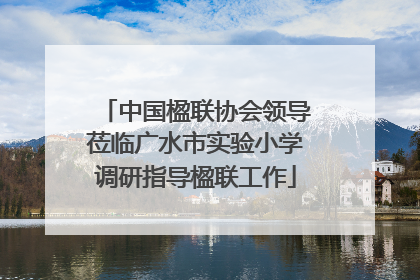 中国楹联协会领导莅临广水市实验小学调研指导楹联工作