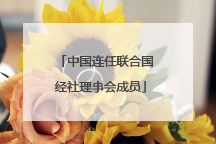 中国连任联合国经社理事会成员