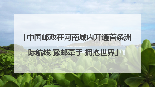 中国邮政在河南域内开通首条洲际航线 豫邮牵手 拥抱世界