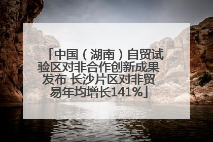中国（湖南）自贸试验区对非合作创新成果发布 长沙片区对非贸易年均增长141%