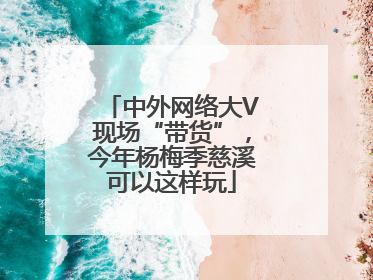 中外网络大V现场“带货”，今年杨梅季慈溪可以这样玩