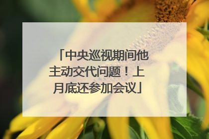 中央巡视期间他主动交代问题！上月底还参加会议