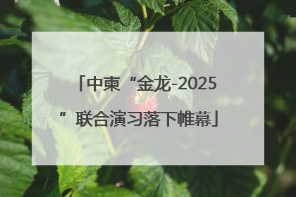 中柬“金龙-2025”联合演习落下帷幕