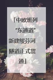 中欧班列“东通道”新建绥芬河隧道正式贯通