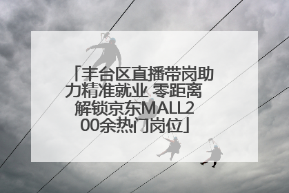 丰台区直播带岗助力精准就业 零距离解锁京东MALL200余热门岗位