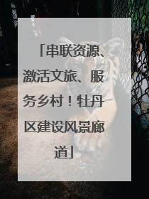 串联资源、激活文旅、服务乡村！牡丹区建设风景廊道
