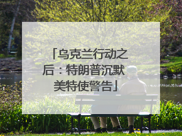 乌克兰行动之后：特朗普沉默 美特使警告
