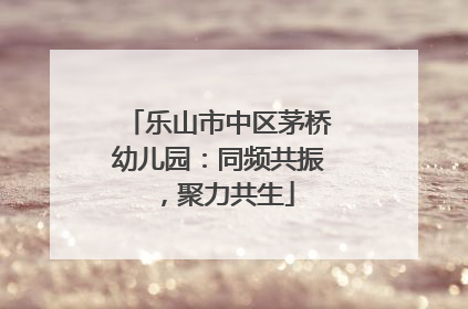 乐山市中区茅桥幼儿园：同频共振，聚力共生