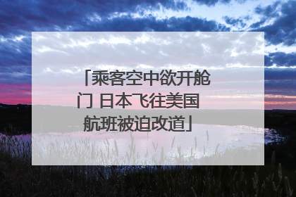 乘客空中欲开舱门 日本飞往美国航班被迫改道