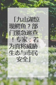 九山湖惊现鳄鱼？部门紧急巡查！专家：若为真将威胁生态与市民安全