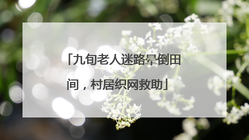 九旬老人迷路晕倒田间，村居织网救助