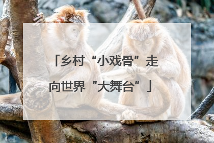 乡村“小戏骨”走向世界“大舞台”