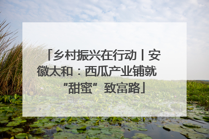 乡村振兴在行动丨安徽太和：西瓜产业铺就“甜蜜”致富路