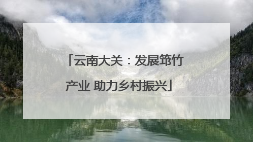 云南大关：发展筇竹产业 助力乡村振兴
