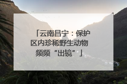 云南昌宁：保护区内珍稀野生动物频频“出镜”