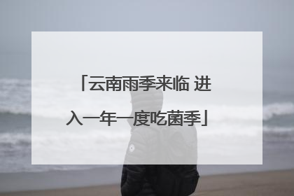 云南雨季来临 进入一年一度吃菌季
