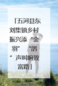 五河县东刘集镇乡村振兴添“金羽” “鸽”声叫响致富路