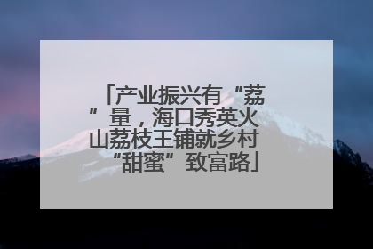 产业振兴有“荔”量，海口秀英火山荔枝王铺就乡村“甜蜜”致富路
