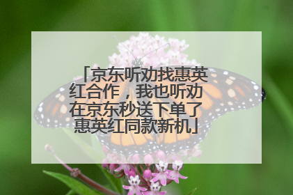 京东听劝找惠英红合作，我也听劝在京东秒送下单了惠英红同款新机