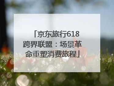 京东旅行618跨界联盟：场景革命重塑消费旅程