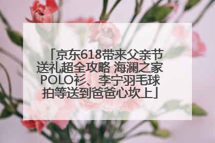 京东618带来父亲节送礼超全攻略 海澜之家POLO衫、李宁羽毛球拍等送到爸爸心坎上
