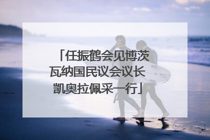 任振鹤会见博茨瓦纳国民议会议长凯奥拉佩采一行