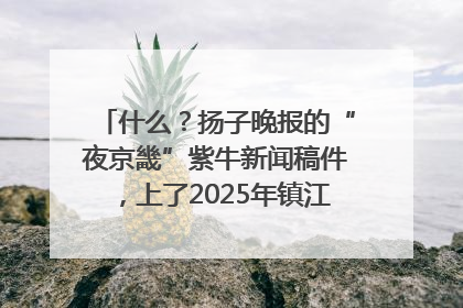 什么？扬子晚报的“夜京畿”紫牛新闻稿件，上了2025年镇江中考模拟卷！