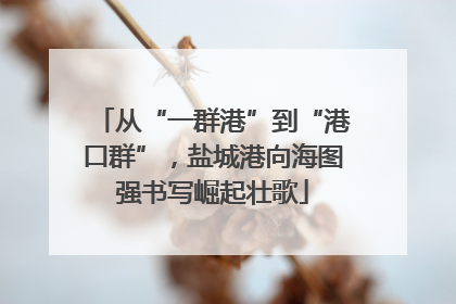 从“一群港”到“港口群”，盐城港向海图强书写崛起壮歌