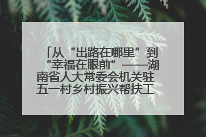 从“出路在哪里”到“幸福在眼前”——湖南省人大常委会机关驻五一村乡村振兴帮扶工作队书写振兴答卷