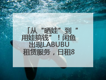 从“晒娃”到“用娃搞钱”！闲鱼出现LABUBU租赁服务，日租80元仍供不应求