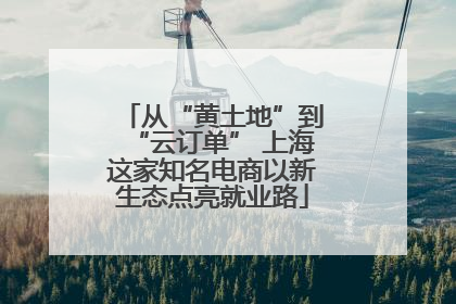 从“黄土地”到“云订单” 上海这家知名电商以新生态点亮就业路