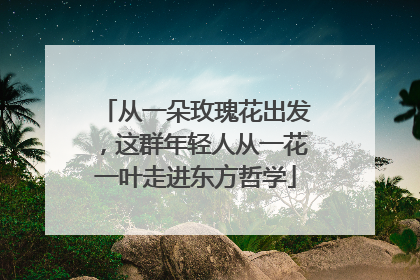 从一朵玫瑰花出发，这群年轻人从一花一叶走进东方哲学