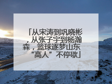 从宋涛到巩晓彬，从张子宇到杨瀚森，篮球逐梦山东“高人”不停歇