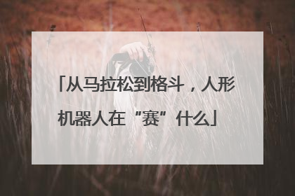 从马拉松到格斗，人形机器人在“赛”什么