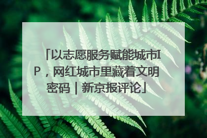 以志愿服务赋能城市IP，网红城市里藏着文明密码｜新京报评论