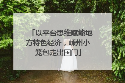 以平台思维赋能地方特色经济，嵊州小笼包走出国门