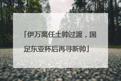 伊万离任土帅过渡，国足东亚杯后再寻新帅