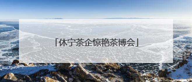 休宁茶企惊艳茶博会
