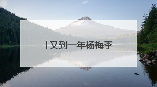 又到一年杨梅季！浙江杨梅赴沪参加世界级食品展