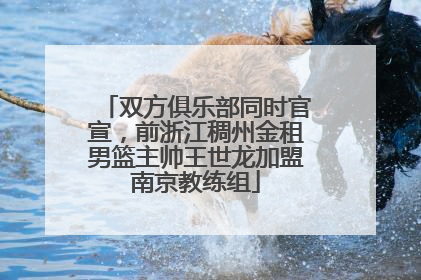 双方俱乐部同时官宣，前浙江稠州金租男篮主帅王世龙加盟南京教练组