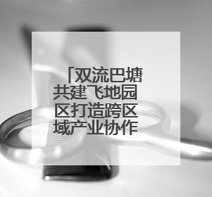 双流巴塘共建飞地园区打造跨区域产业协作示范
