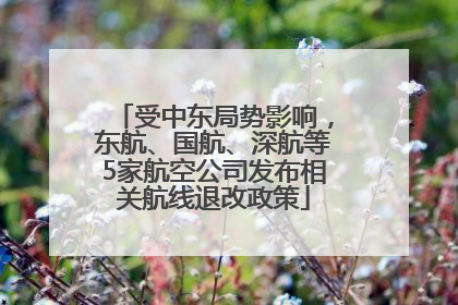 受中东局势影响，东航、国航、深航等5家航空公司发布相关航线退改政策